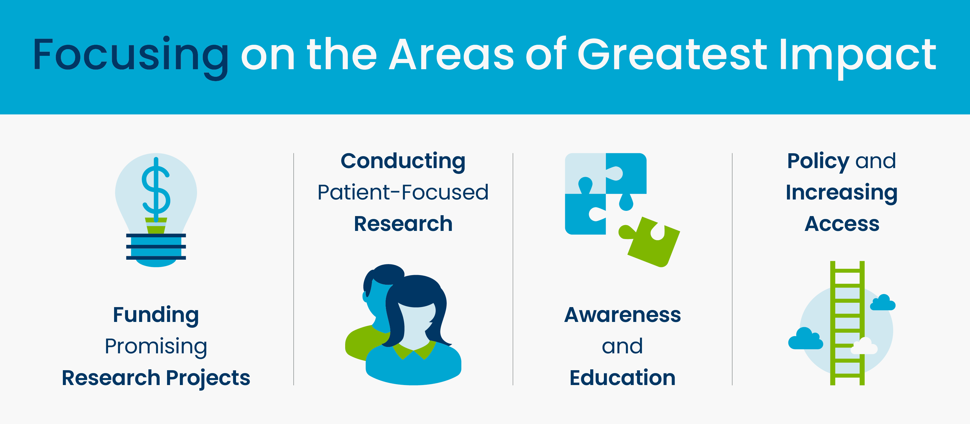 Areas of focus of the ELCC