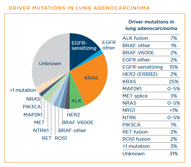 Biomarker profile of adenocarcinoma Driver mutations in lung adenocarcinoma