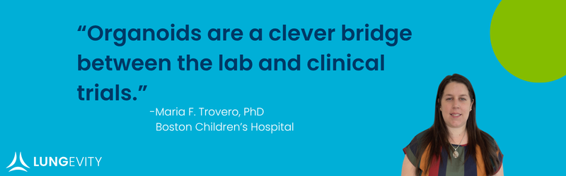 organoids are a clever bridge between the lab and clinical trials
