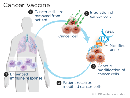 Cancer vaccine