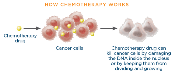 How chemotherapy works