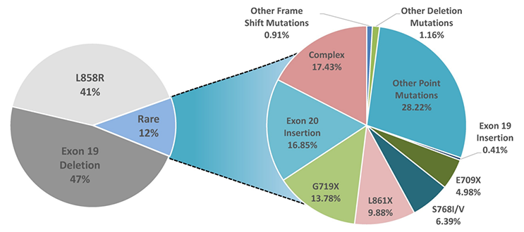 EGFR mutations