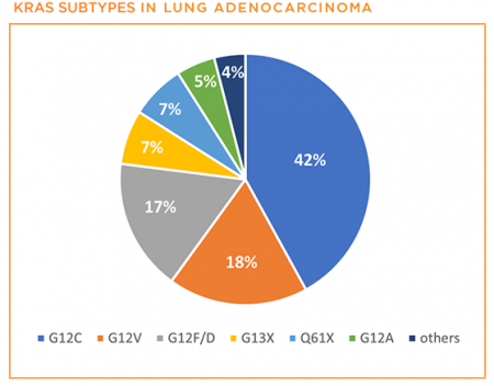 KRAS subtypes pie chart