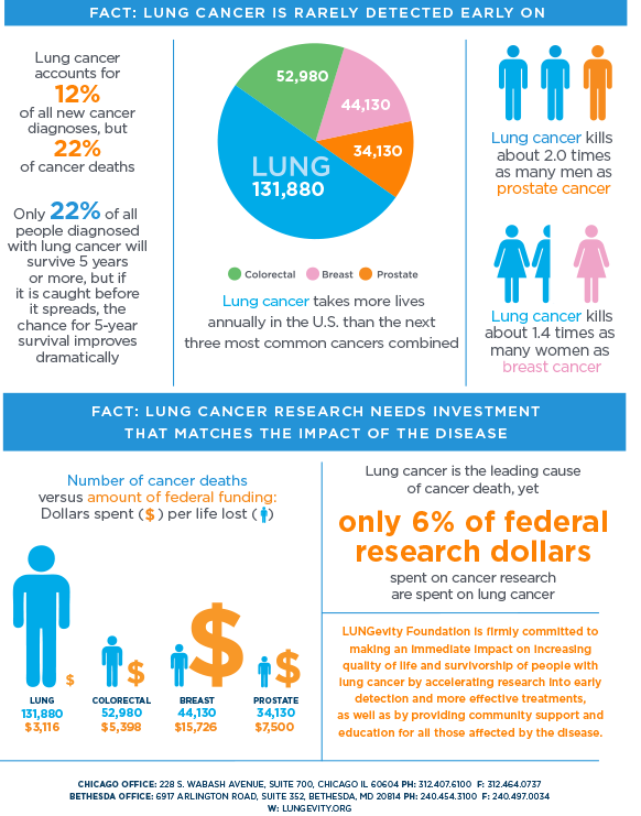Lung cancer facts infographic, part 2