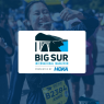 big sur logo