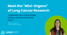 the mini organs of lung cancer research