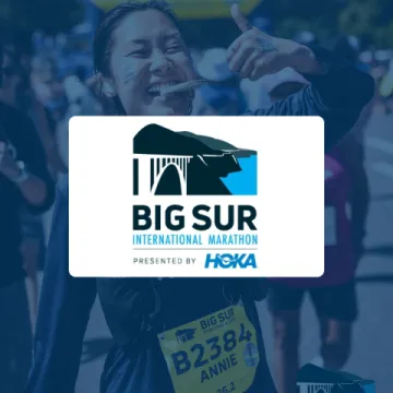 big sur logo
