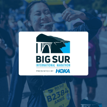 big sur logo