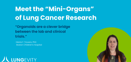 the mini organs of lung cancer research