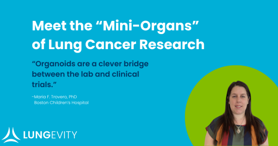 the mini organs of lung cancer research