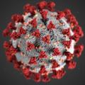 Visualization of the Covid-19 virus