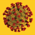 COVID isolate image