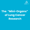 the mini organs of lung cancer research