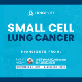 text research highlights on small cell lung cancer