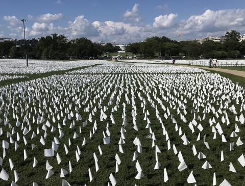 Flags on the National Mall