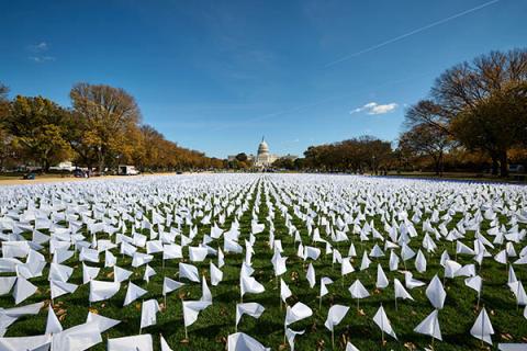 Flags on the National Mall