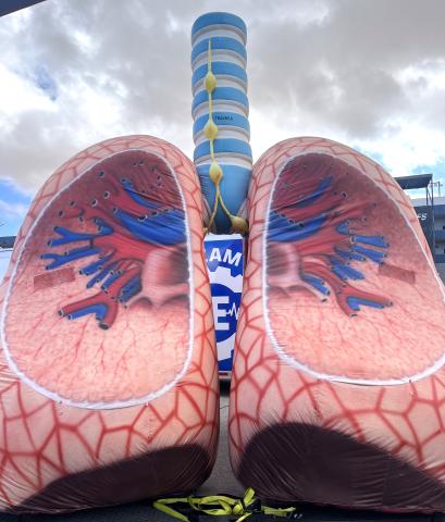inflatable lung