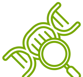 how lung cancer develops icon