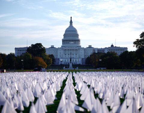 white flags in ground US capitol in background