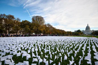 field of flags in front of white house