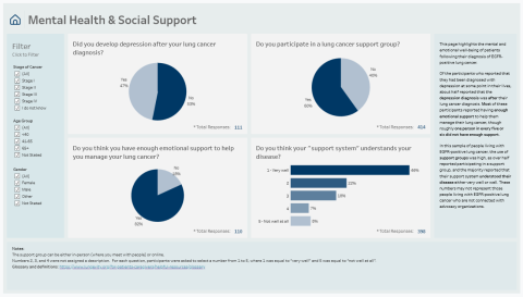 Data from the mental health and social support view