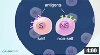 Immunotherapy Video 1